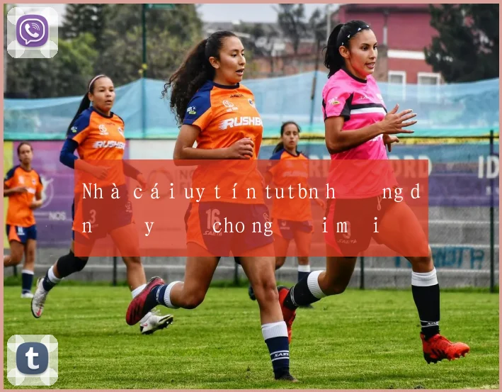Nhà cái uy tín tutbn hướng dẫn đầy đủ cho người mới